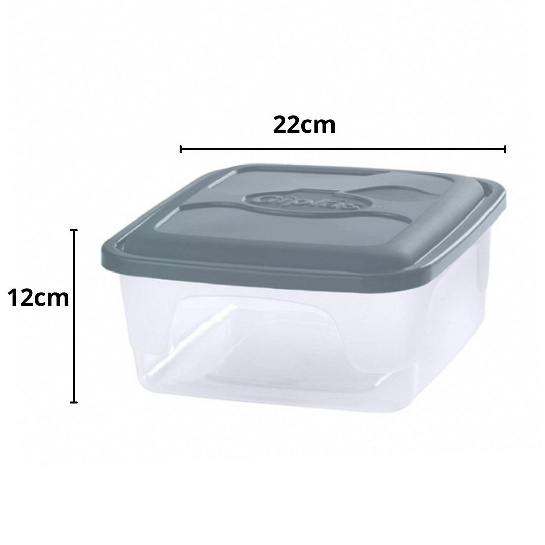 Organizador Quadrado 4L Giplás