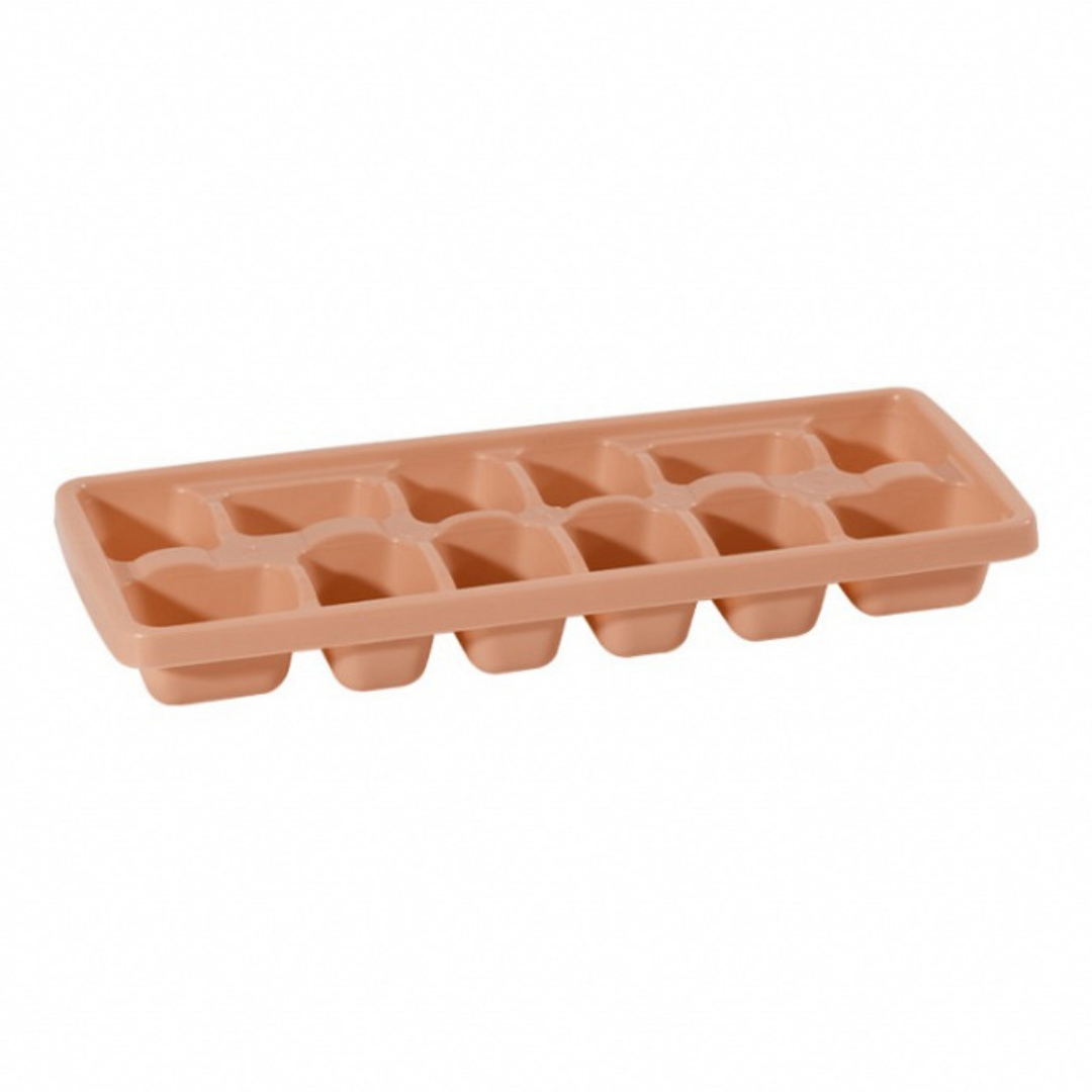 Forma De Gelo Giplas Cg-10