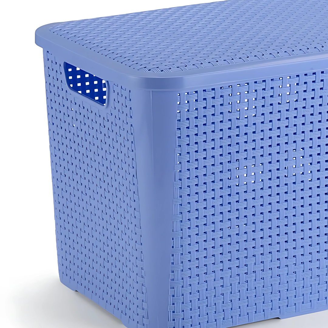 Rganizador Ratan Retangular 26L Azul Pratic