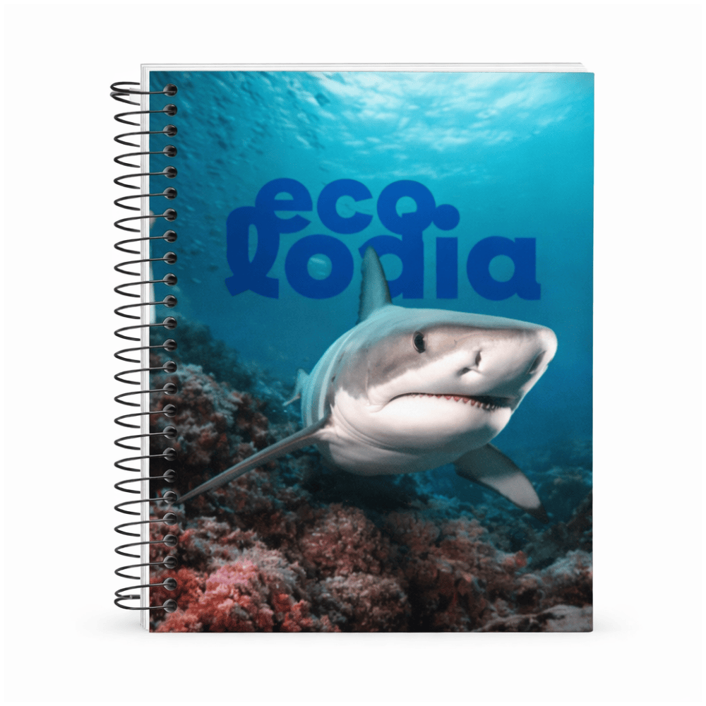 Caderno Univ Espiral Nature Cd 20M 320Fls Smart