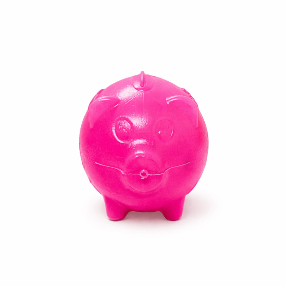 Cofre Porquinho Econômico Minitoys