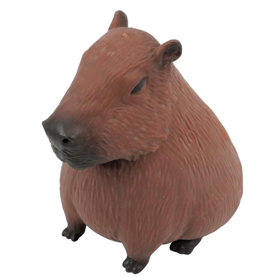 Capivara Divertida Dm Brasil