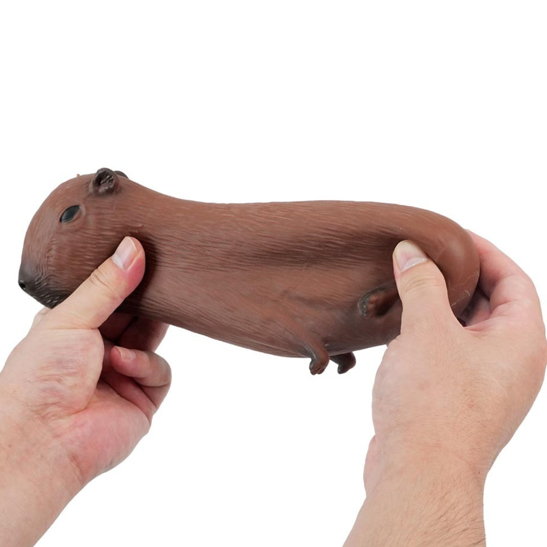 Capivara Divertida Dm Brasil