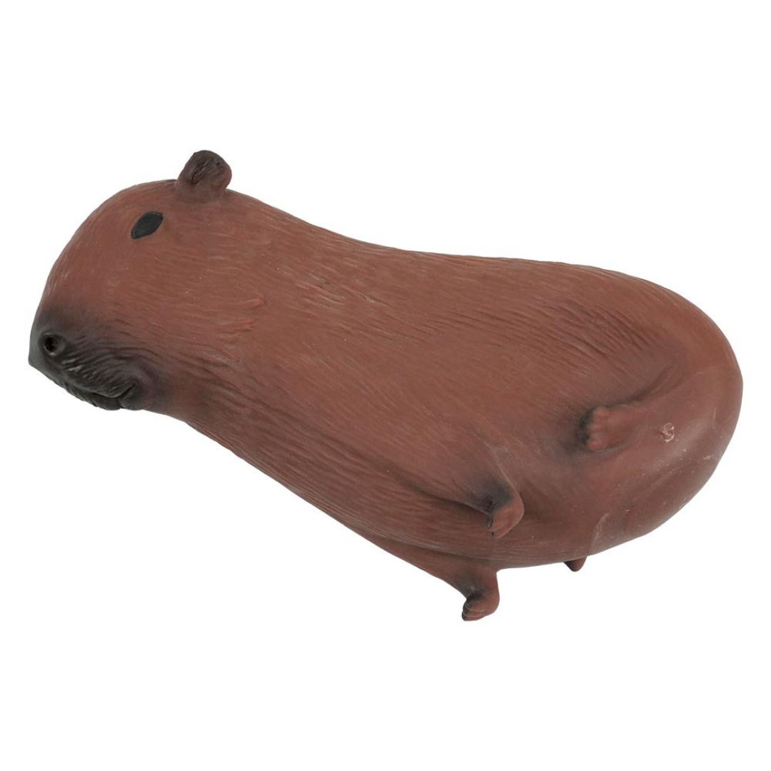 Capivara Divertida Dm Brasil