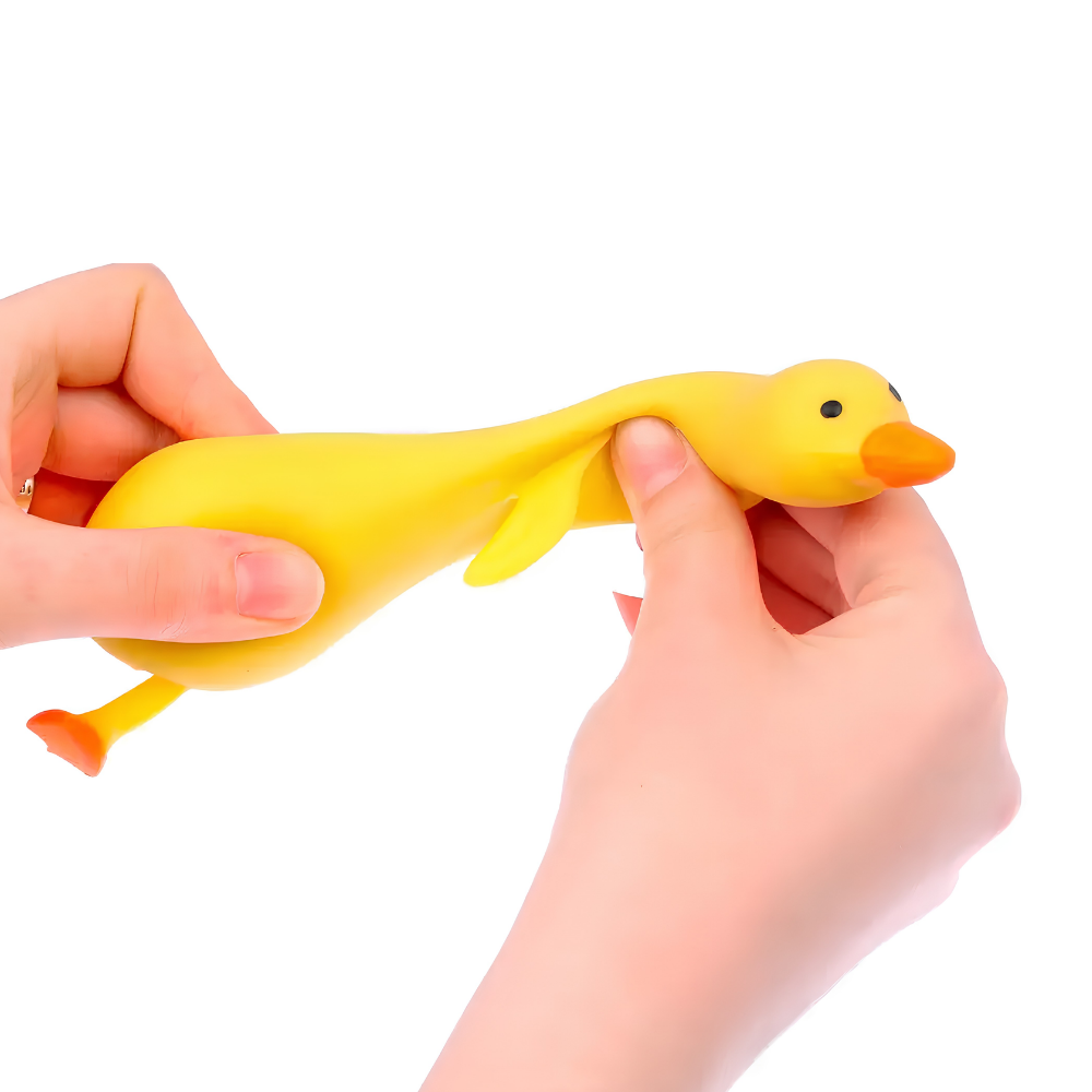 Flofy Patinho Feliz DMBrasil