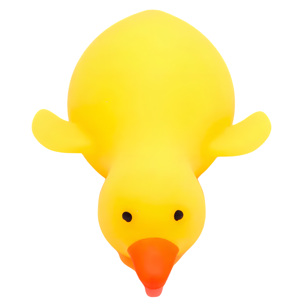 Flofy Patinho Feliz DMBrasil