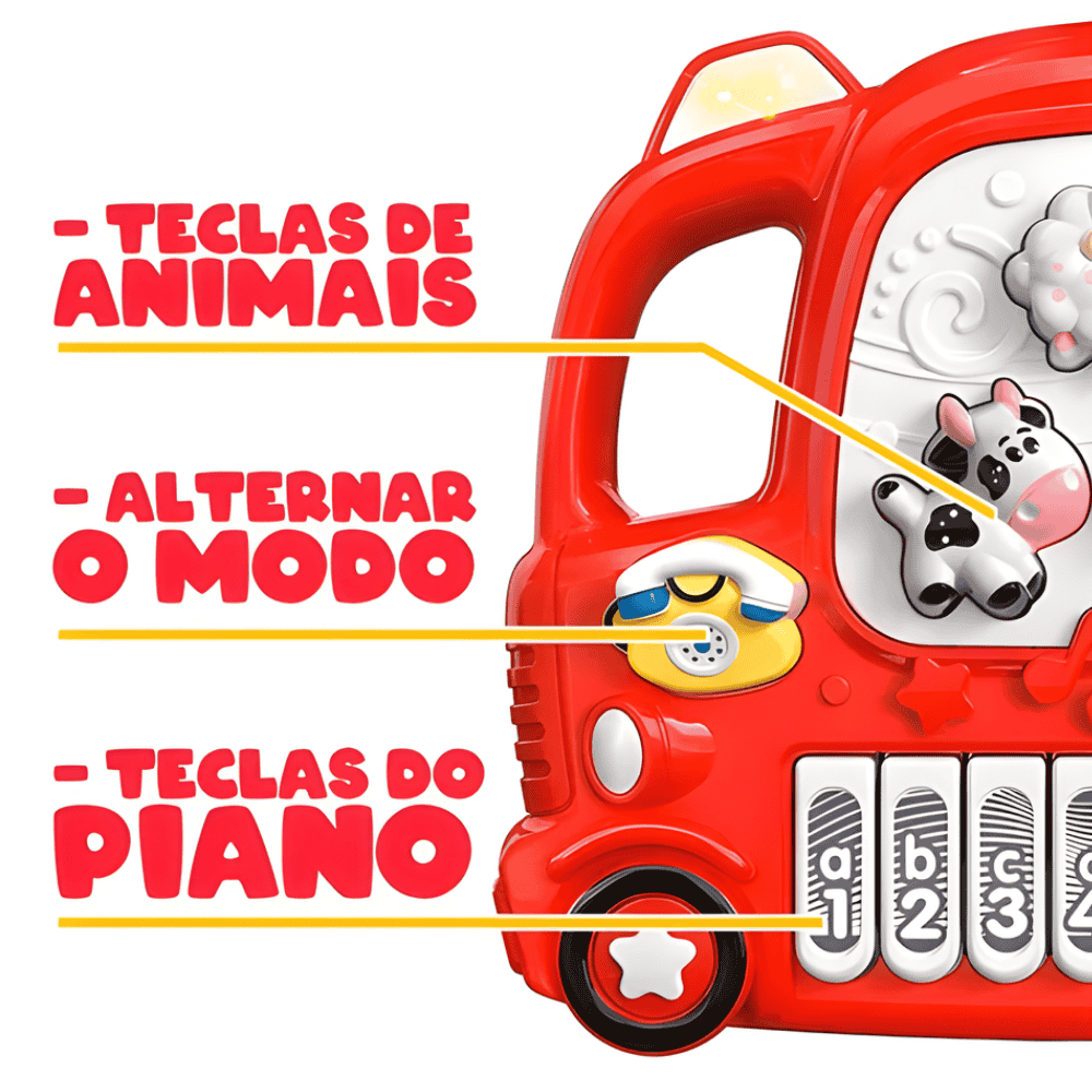 Brinquedo Educativo Carrinho Musical Dm Brasil
