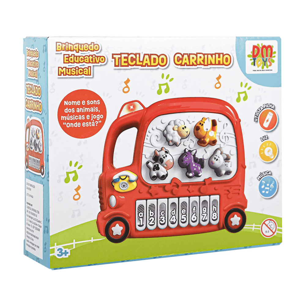 Brinquedo Educativo Carrinho Musical Dm Brasil