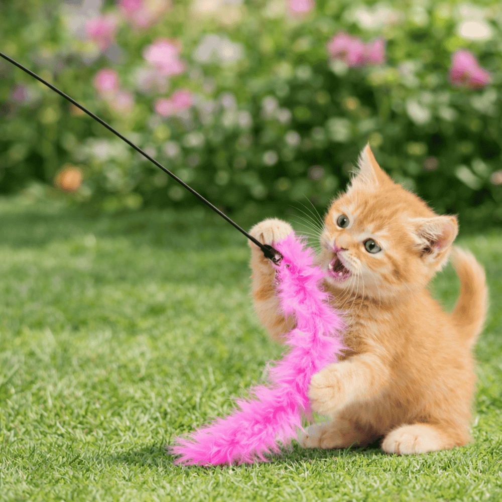 Brinquedo Pet Para Gato Vara Com Pena 50Cm Yins
