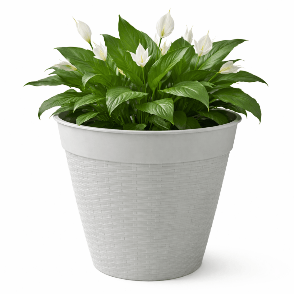 Vaso Redondo Vime Com Borda Reta Marmorizado 30L Plasnew