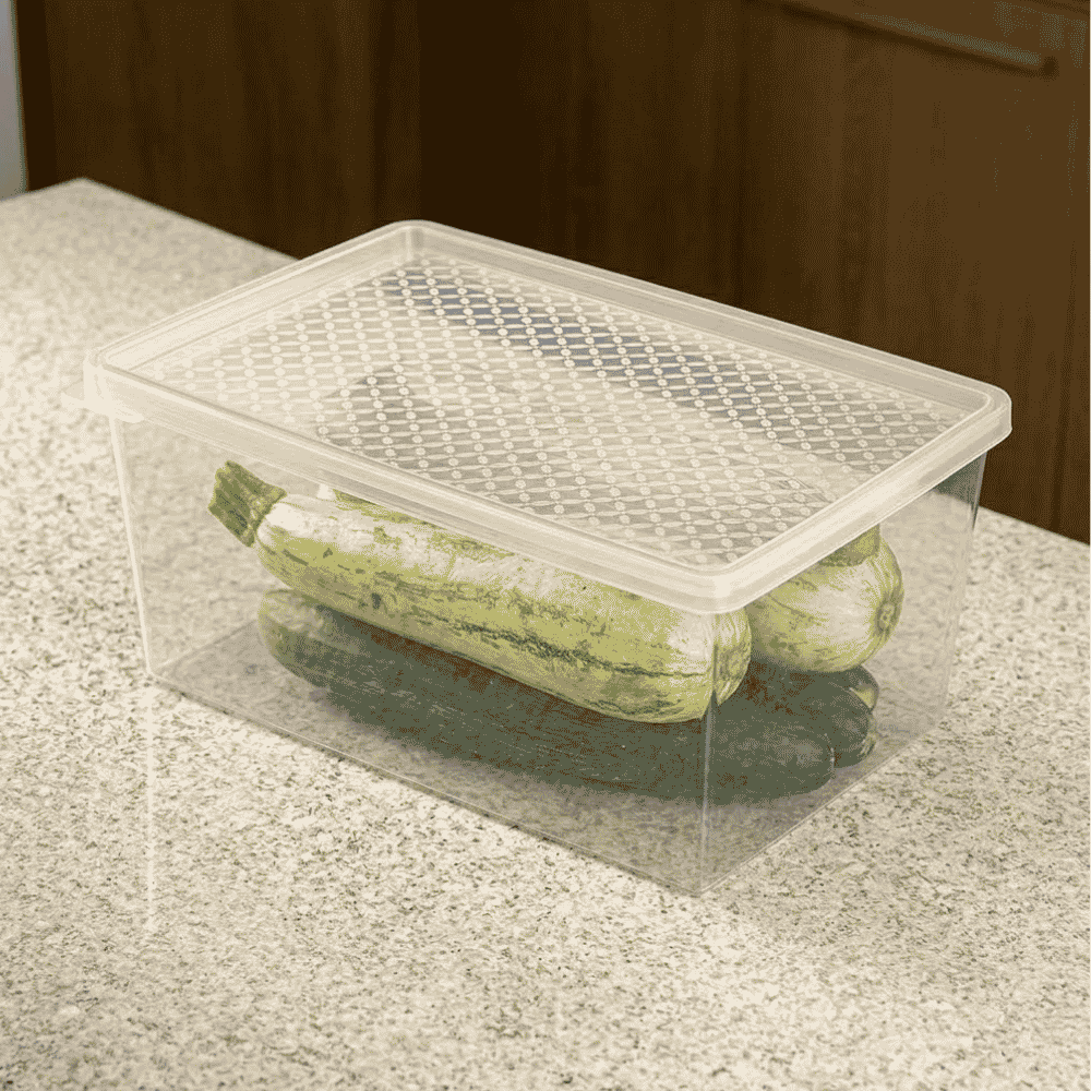 Organizador Multiuso EXG 4,5L Transparente com Tampa