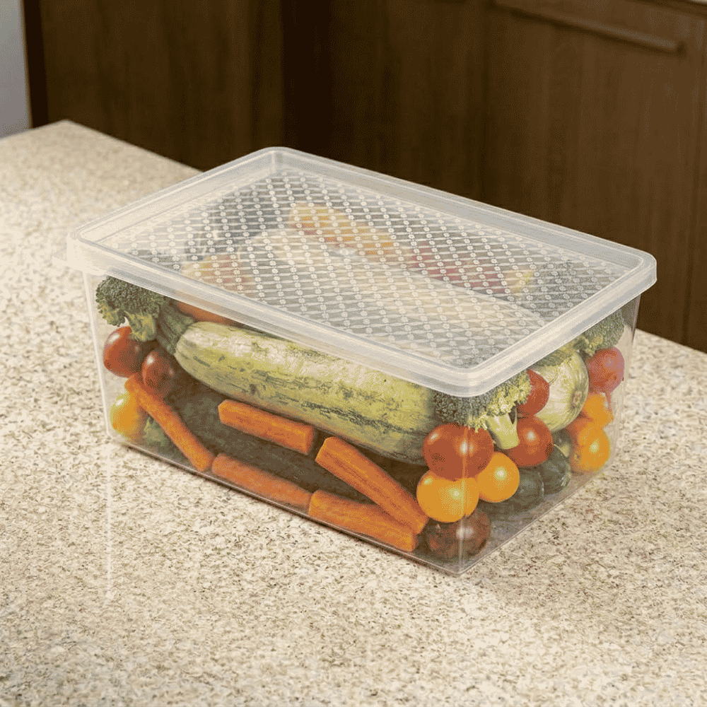 Organizador Multiuso EXG 4,5L Transparente com Tampa