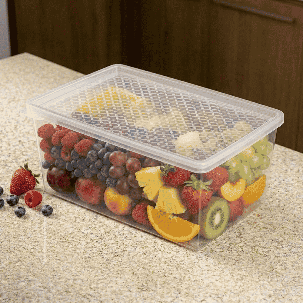 Organizador Multiuso EXG 4,5L Transparente com Tampa