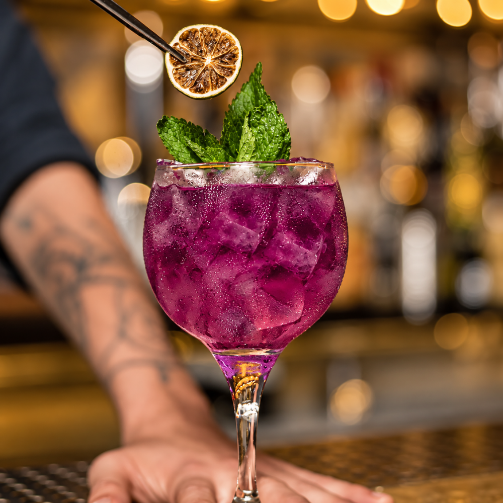 Taca Gin 600Ml Nadir - Cx 12 Unidades