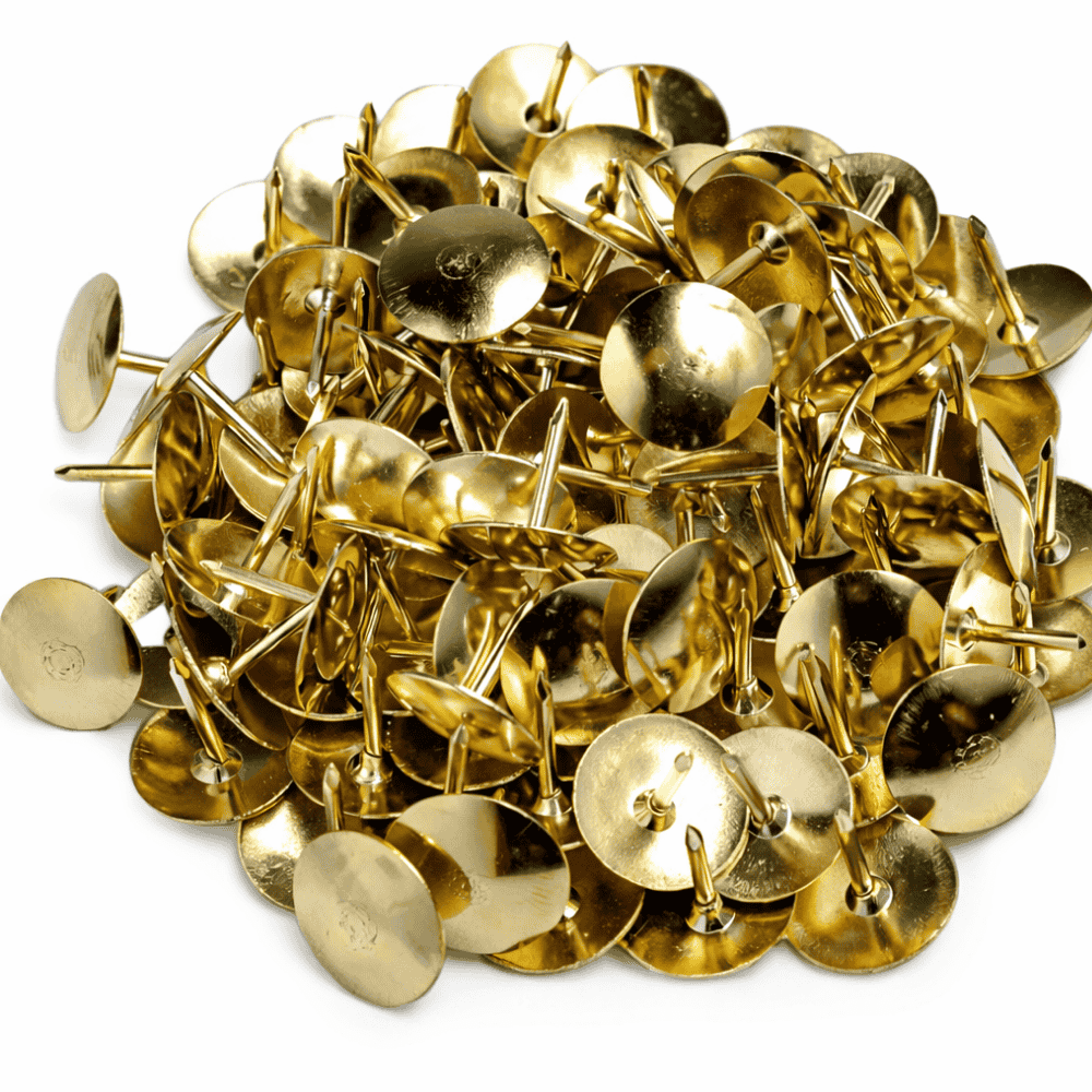 Percevejo Dourado Leo e Leo