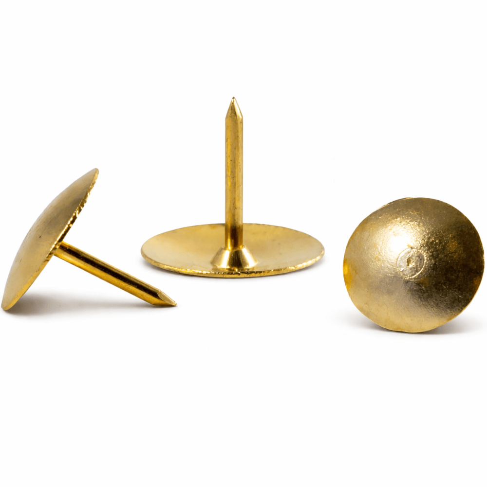 Percevejo Dourado Leo e Leo