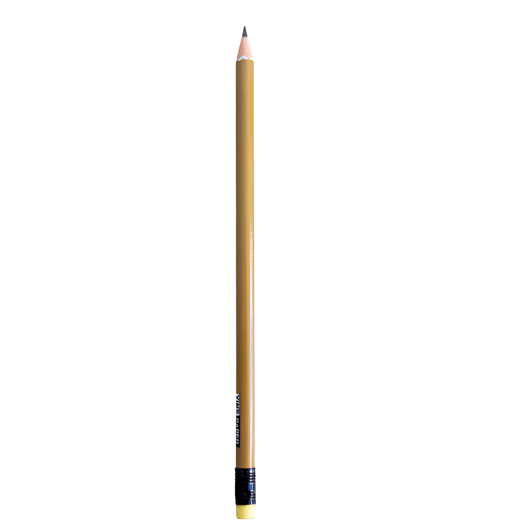 Lapis Grafite Hb Resina C/Borr Outono Yins  - Cx 24 Unidades