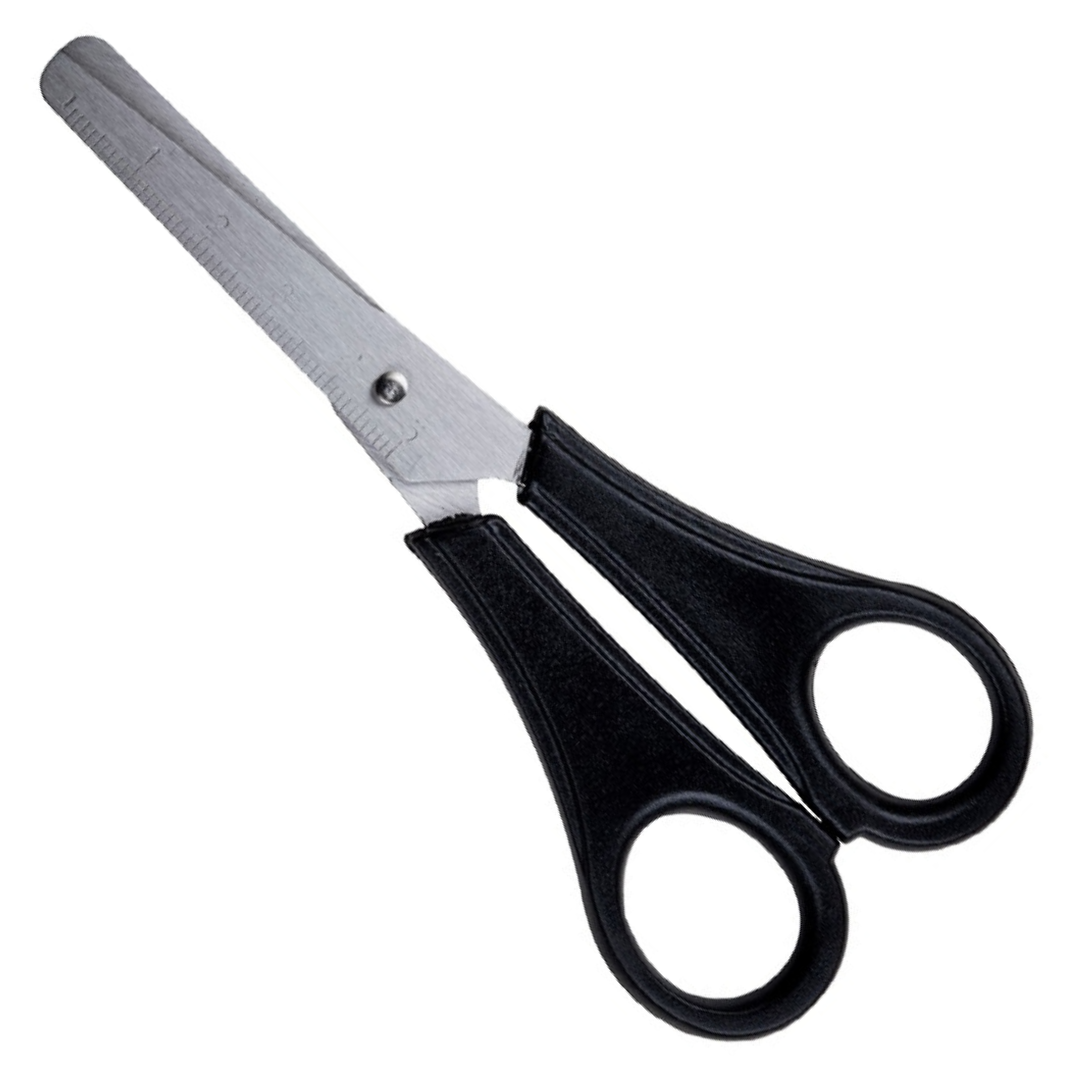 Tesoura Escolar Black Inox Leo E Leo  - Cx 12 Unidades
