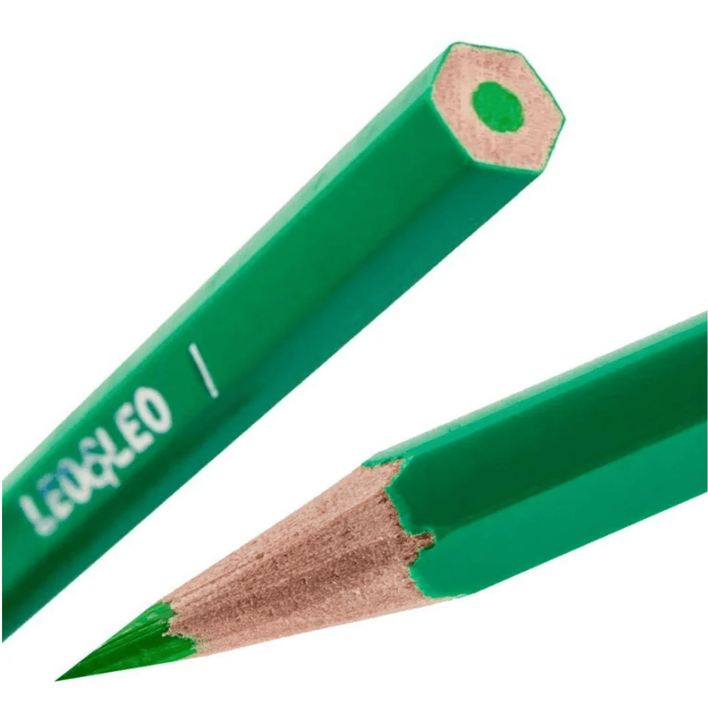Lápis 12 Cores Sextavado Ecológico Leo&Leo - Cx 6 Unidades